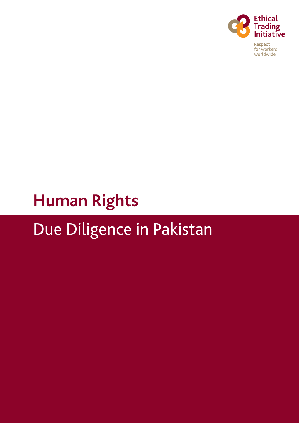 Human Rights Due Diligence in Pakistan HUMAN RIGHTS DUE DILIGENCE in PAKISTAN 2