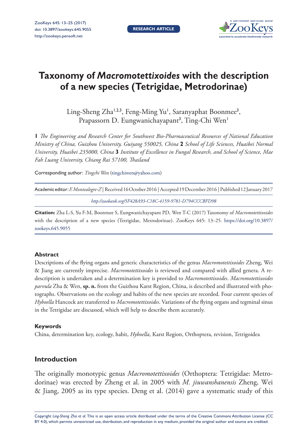 Tetrigidae, Metrodorinae)