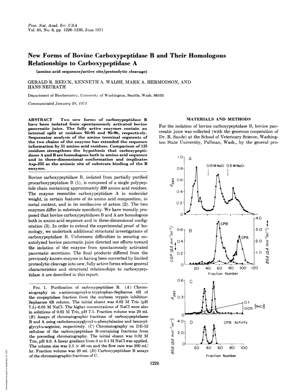 Relationships to Carboxypeptidase a (Amino Acid Sequence/Active Site/Proteolytic Cleavage) GERALD R