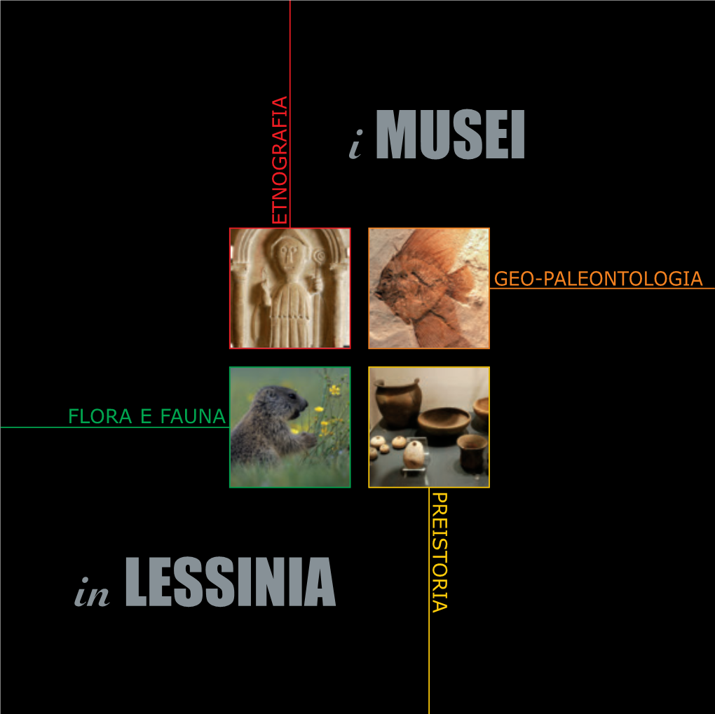 I MUSEI in LESSINIA I in FLORA EFAUNA in LESSINIA