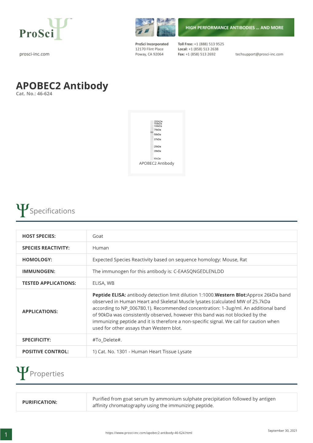 APOBEC2 Antibody Cat