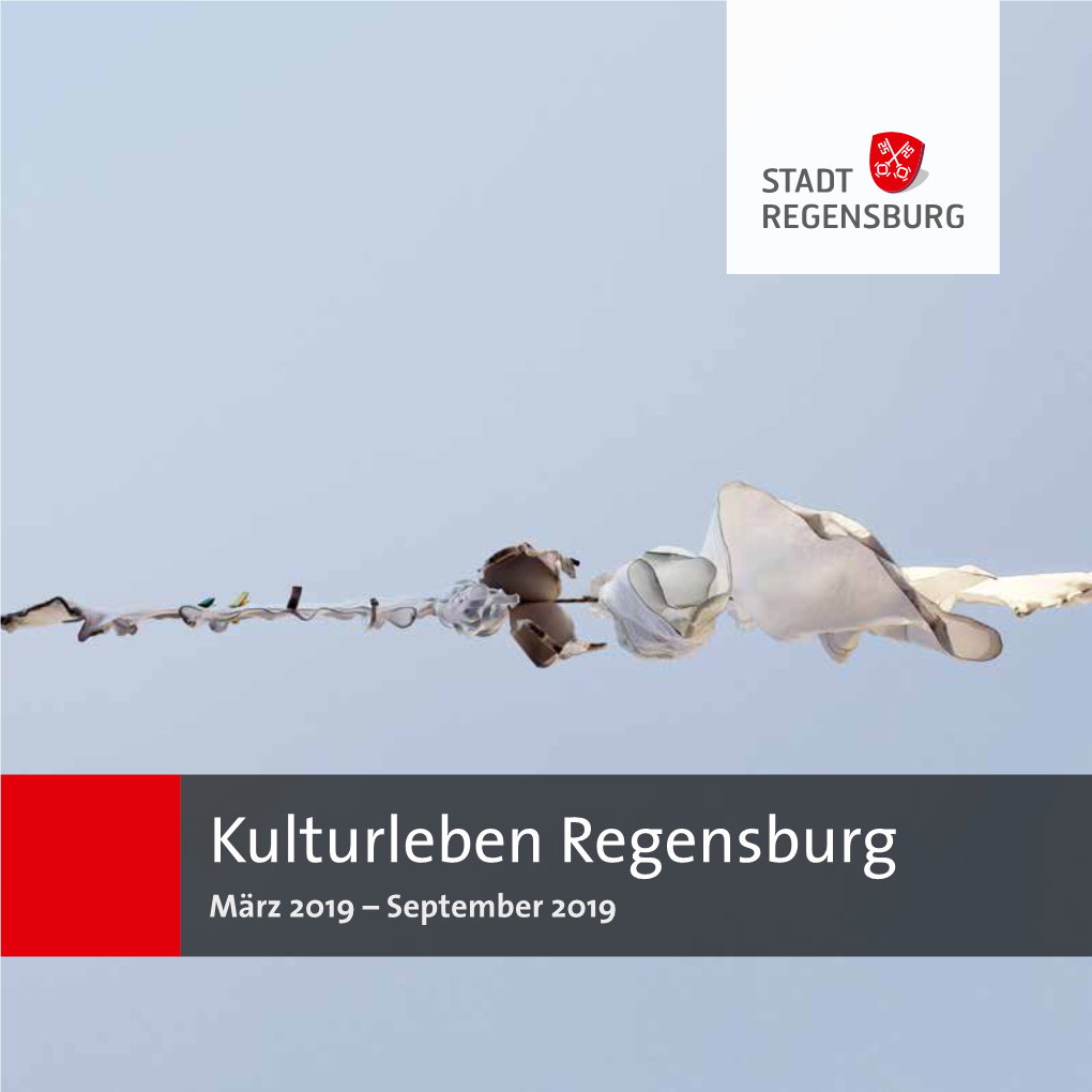 Kulturleben Regensburg März 2019 – September 2019 Titelbild: Jasmin Lehmer, Calle Larga Rosa, Venedig, 2018