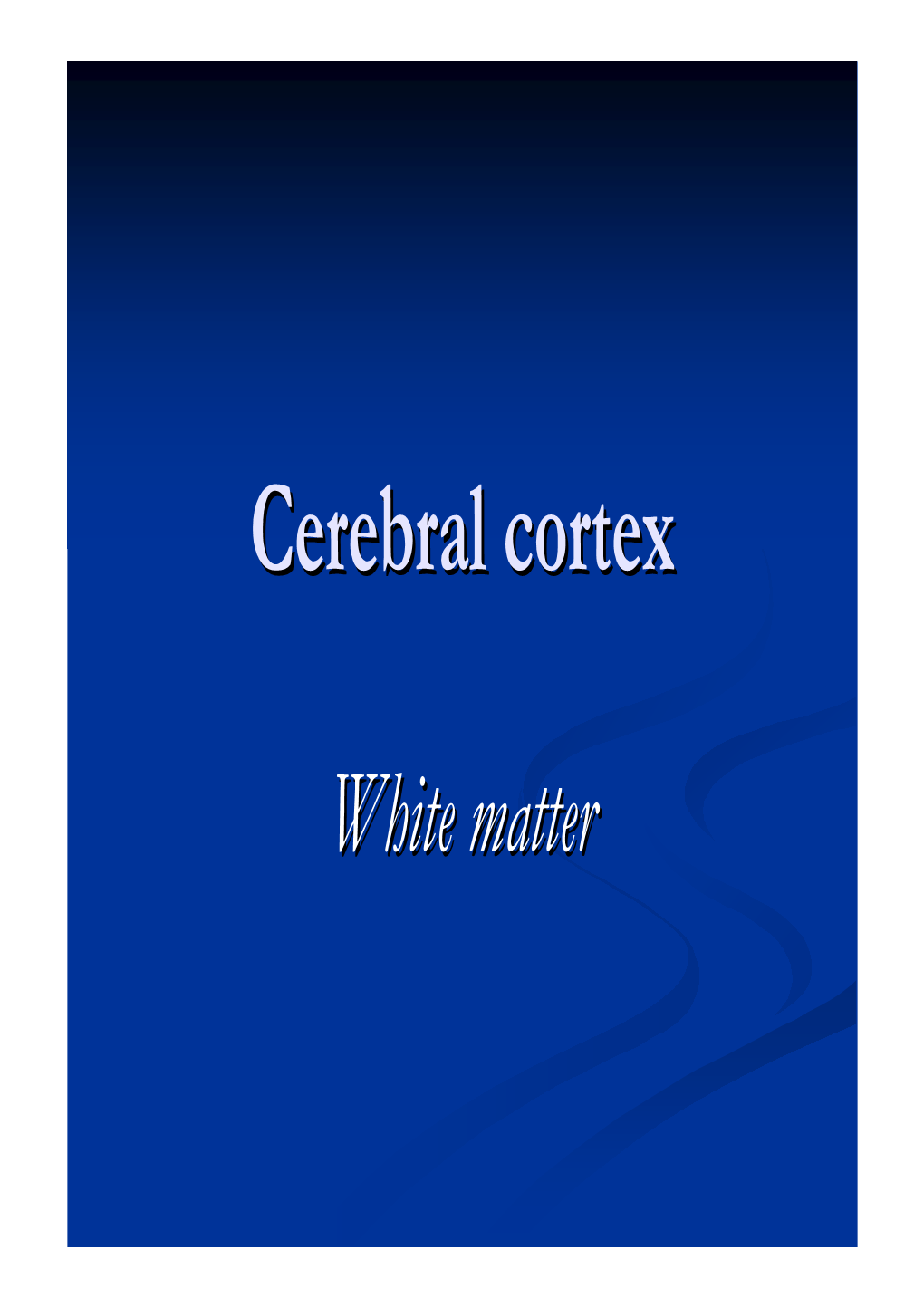 Cerebral Cortexcortex