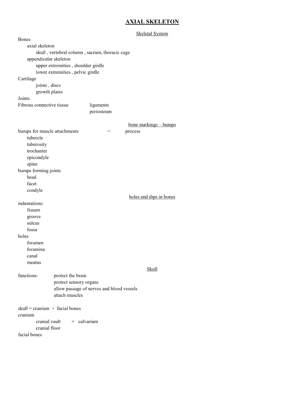 Chapter 7 Axial Skeleton