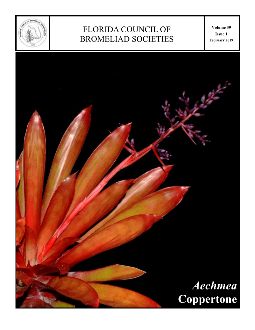 Aechmea Coppertone FLORIDA COUNCIL of BROMELIAD SOCIETIES Page 2