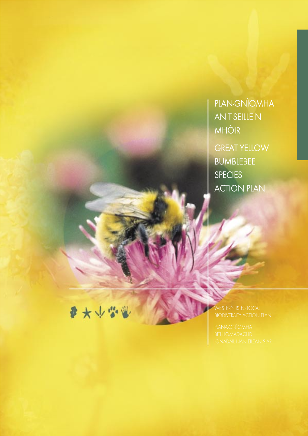 Plan-Gnìomha an T-Seillein Mhòir Great Yellow Bumblebee Species Action Plan