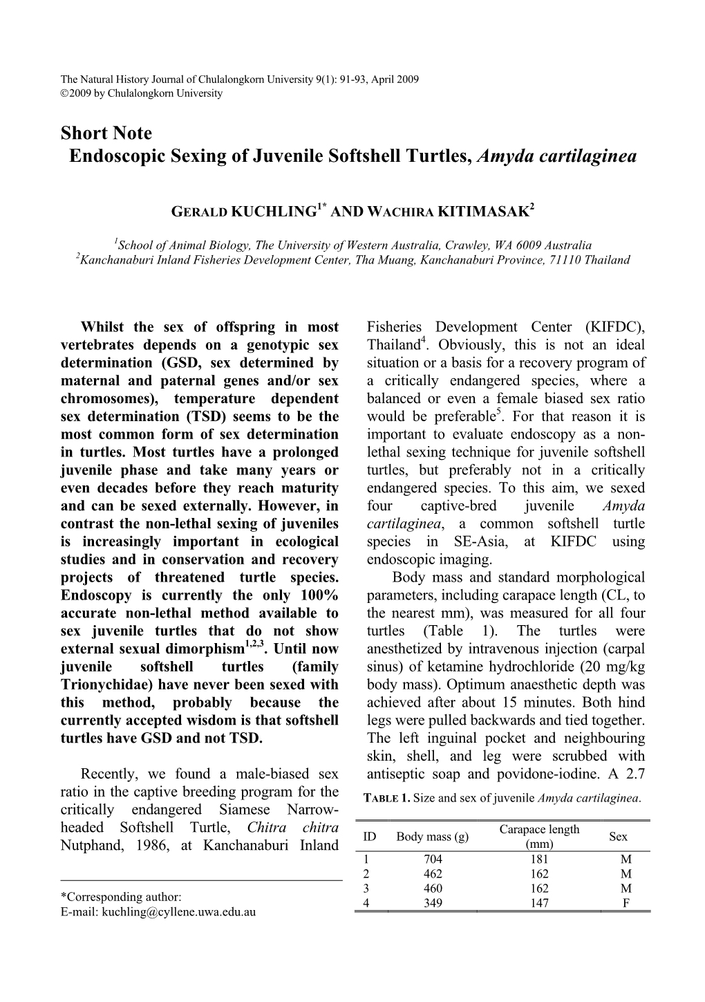 Short Note Endoscopic Sexing of Juvenile Softshell Turtles, Amyda Cartilaginea