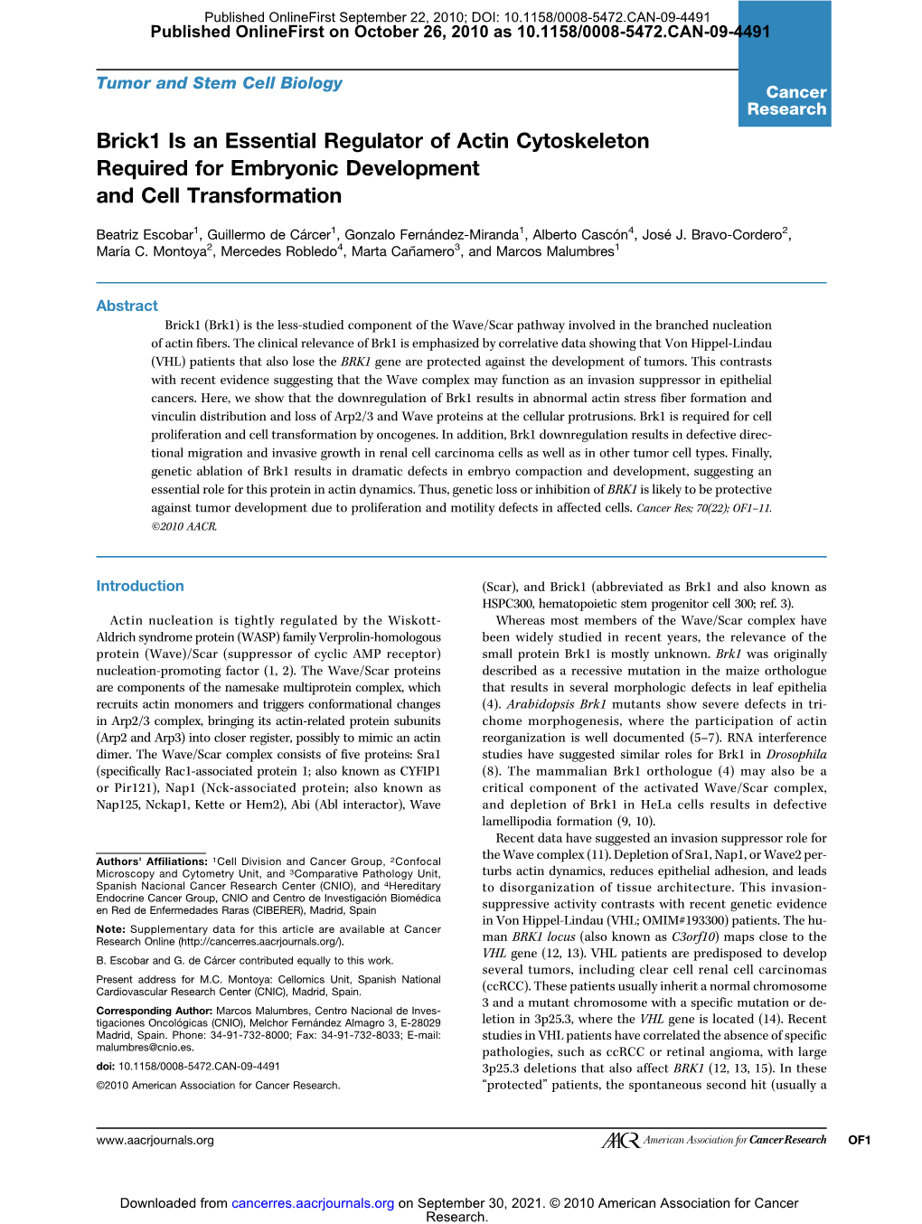 Brick1 Is an Essential Regulator of Actin Cytoskeleton Required for Embryonic Development and Cell Transformation