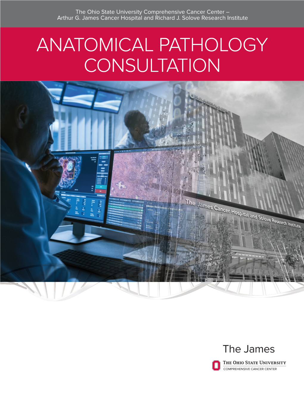 Consult Physicians Brochure