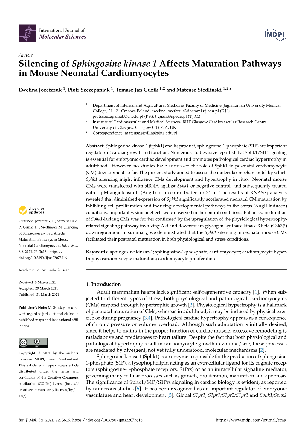 Silencing of Sphingosine Kinase 1 Affects Maturation Pathways in Mouse Neonatal Cardiomyocytes