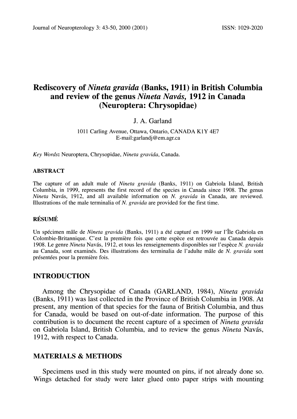 Rediscovery of Nineta Gravida (Banks, 1911) in British Columbia and Review of the Genus Nineta Navds, 1912 in Canada (Neuroptera: Chrysopidae)