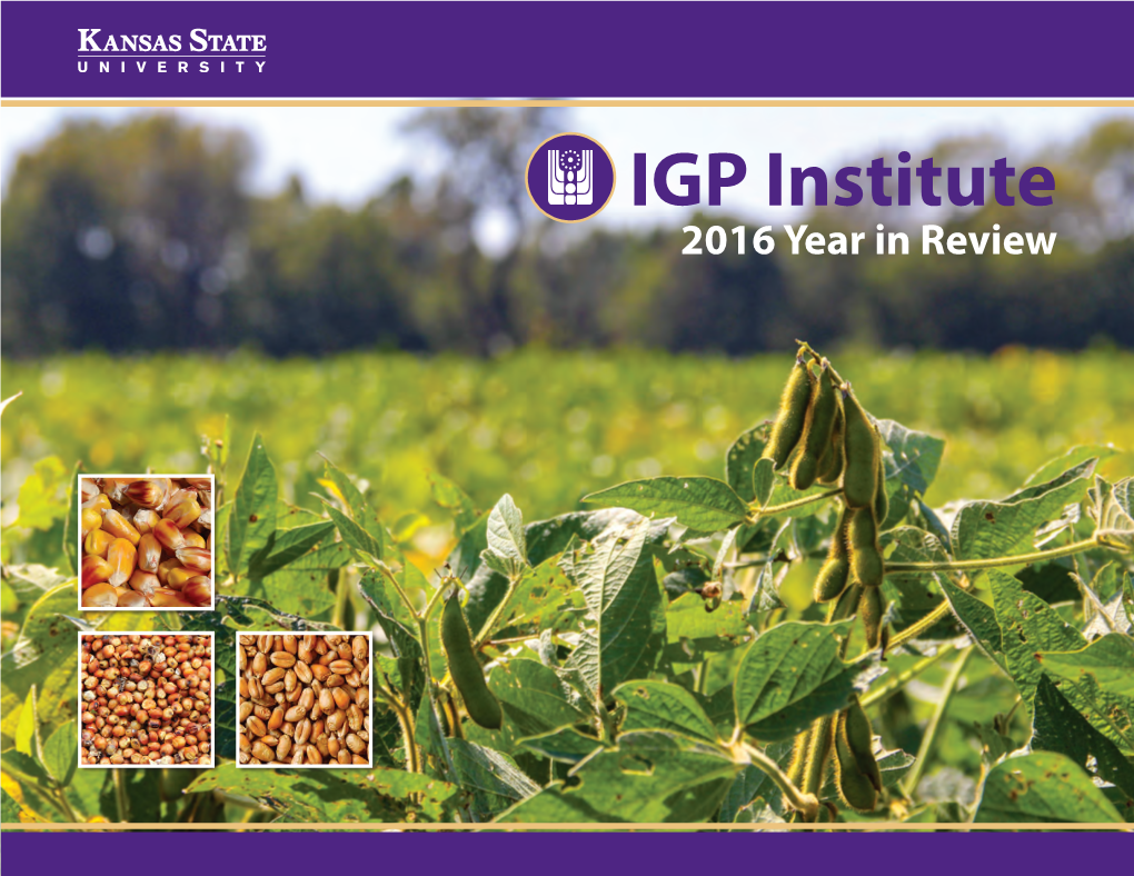 IGP Institute 2016 Year in Review IGP Supporters and Partners