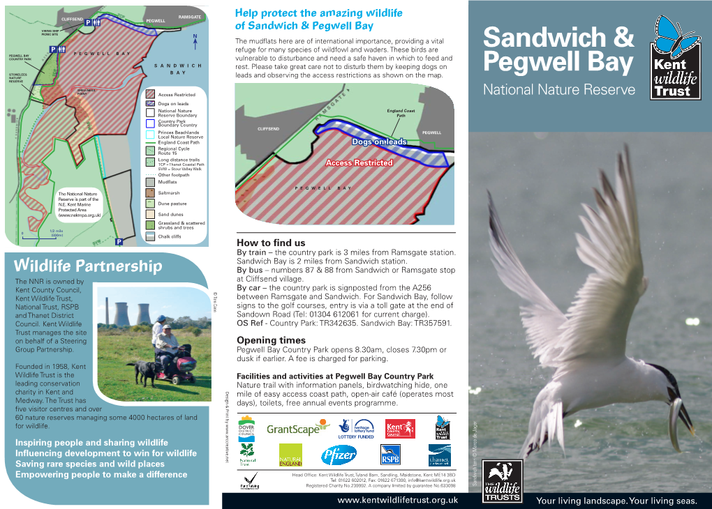 Sandwich & Pegwell Bay NNR Leaflet