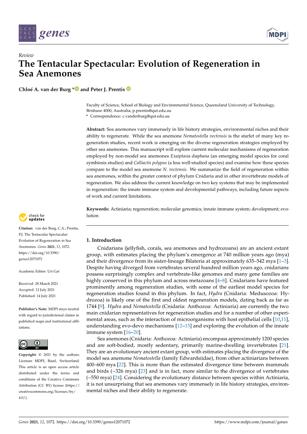 Evolution of Regeneration Insea Anemones