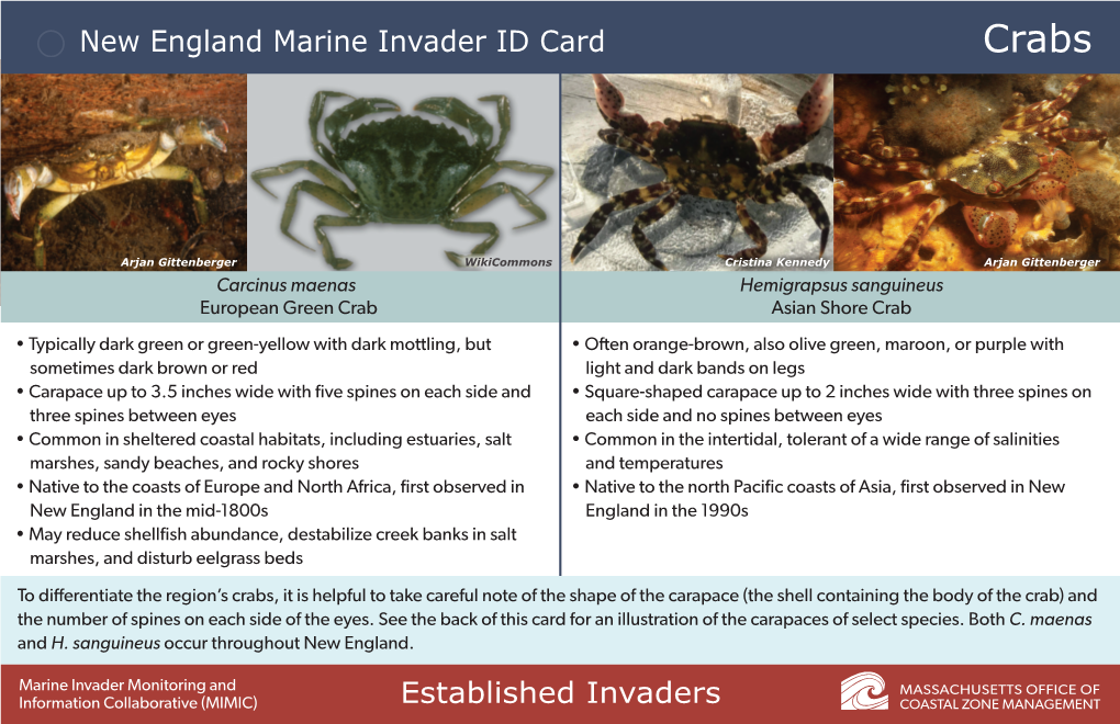 New England Marine Invader ID Cards