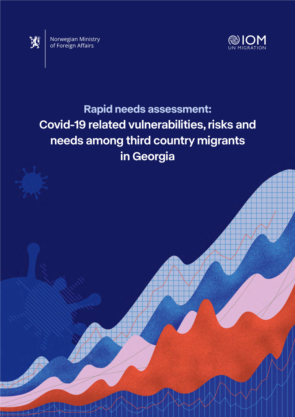 Download COVID-19 Migrants' Rapid Needs Assessment Report