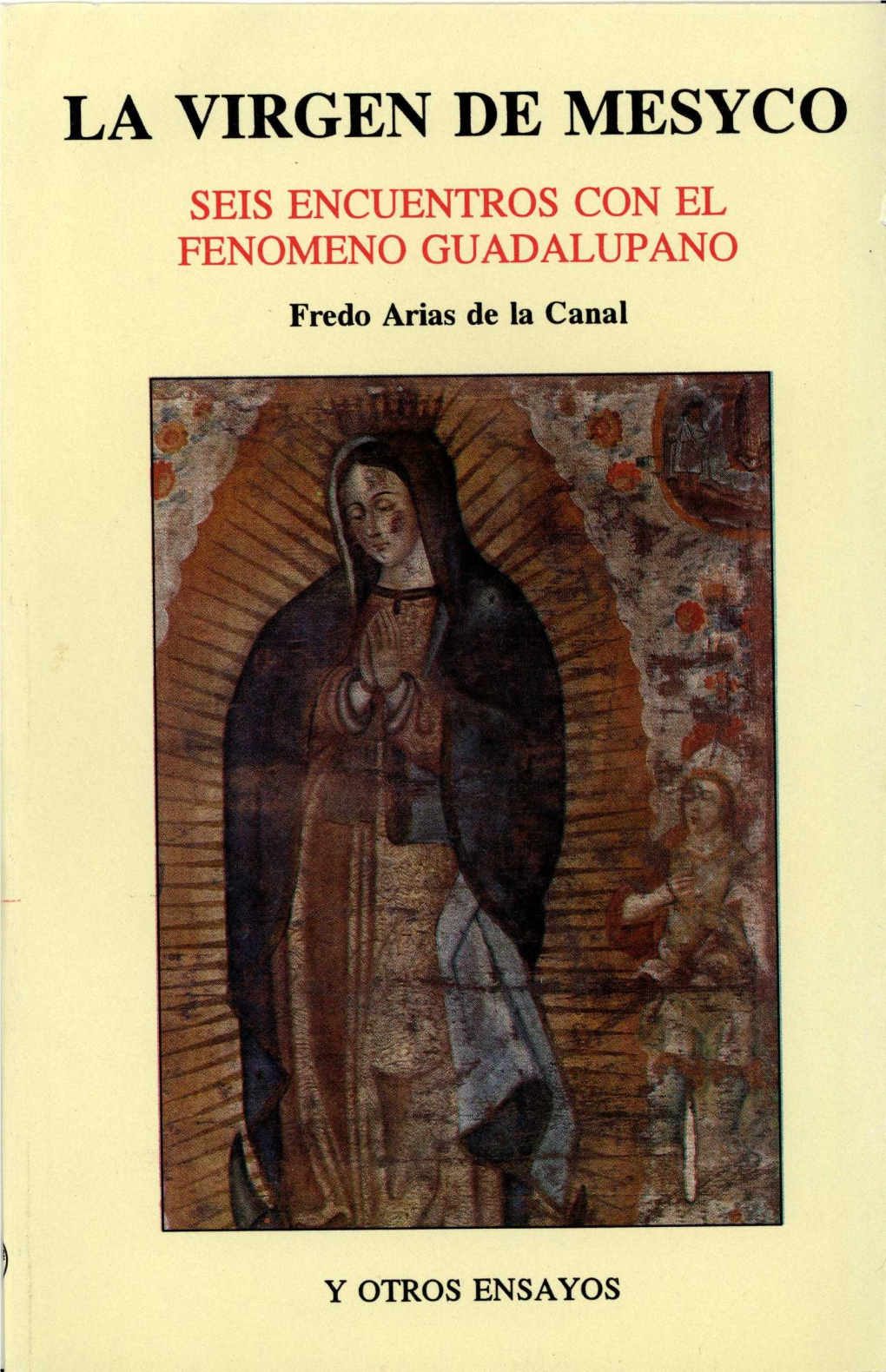 LA VIRGEN DE MESYCO SEIS ENCUENTROS CON EL FENOMENO GUADALUPANO Fredo Arias De La Canal