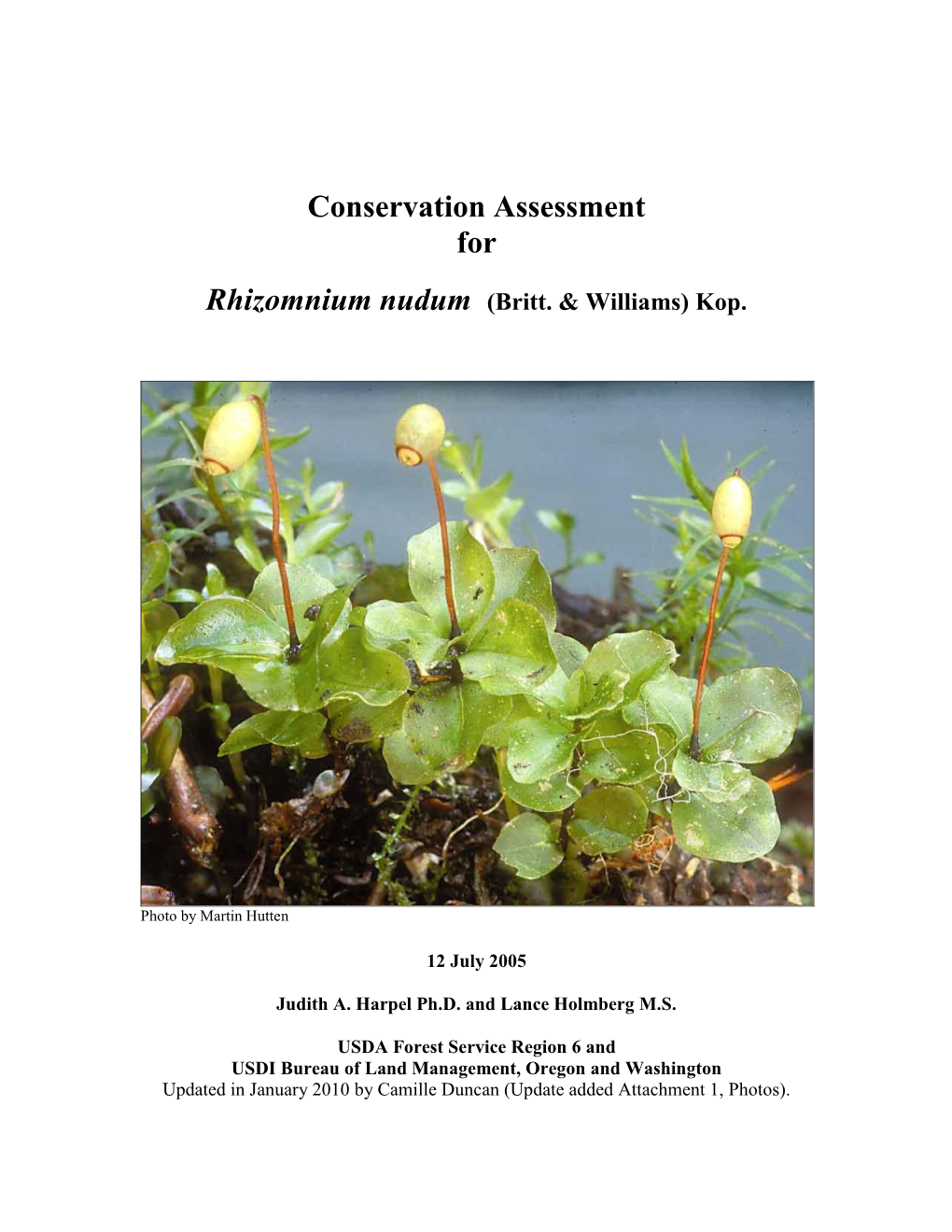 Conservation Assessment for Rhizomnium Nudum (Britt