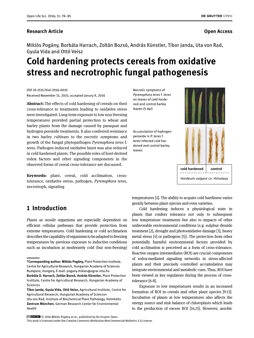Cold Hardening Protects Cereals from Oxidative Stress and Necrotrophic Fungal Pathogenesis