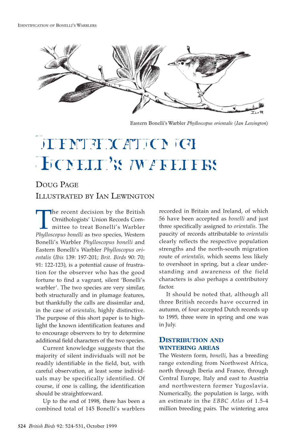 Identification of Bonelli's Warblers