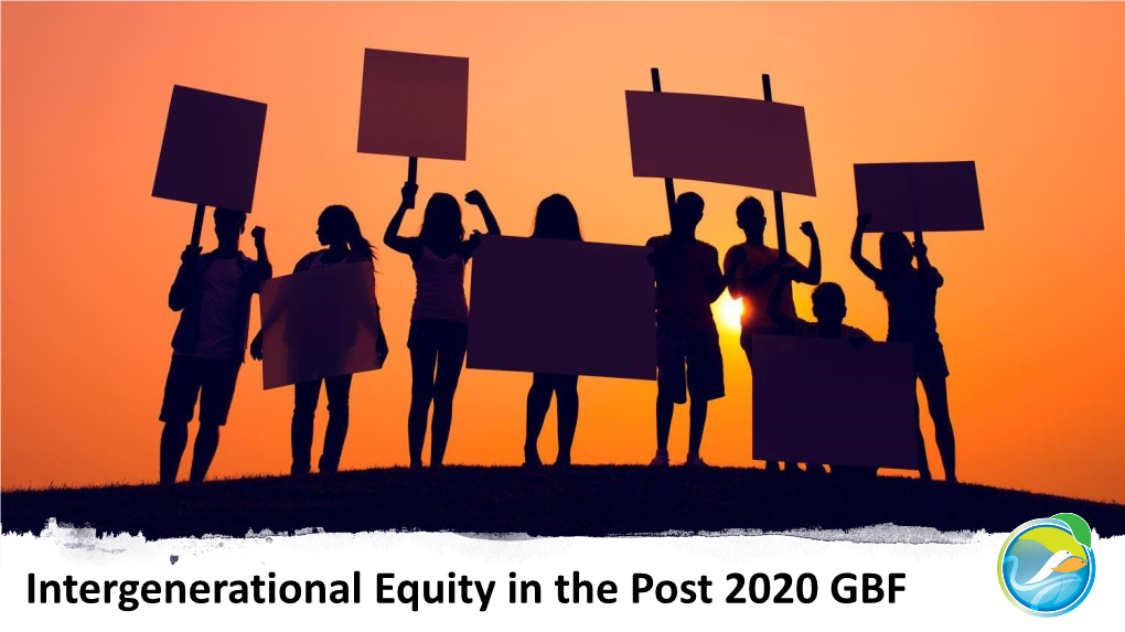 Intergenerational Equity in the Post 2020