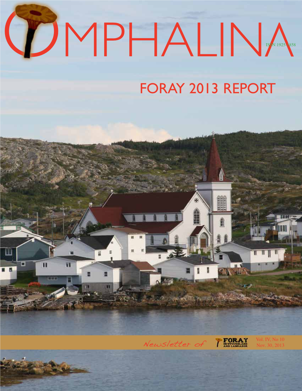 Report Foray 2013