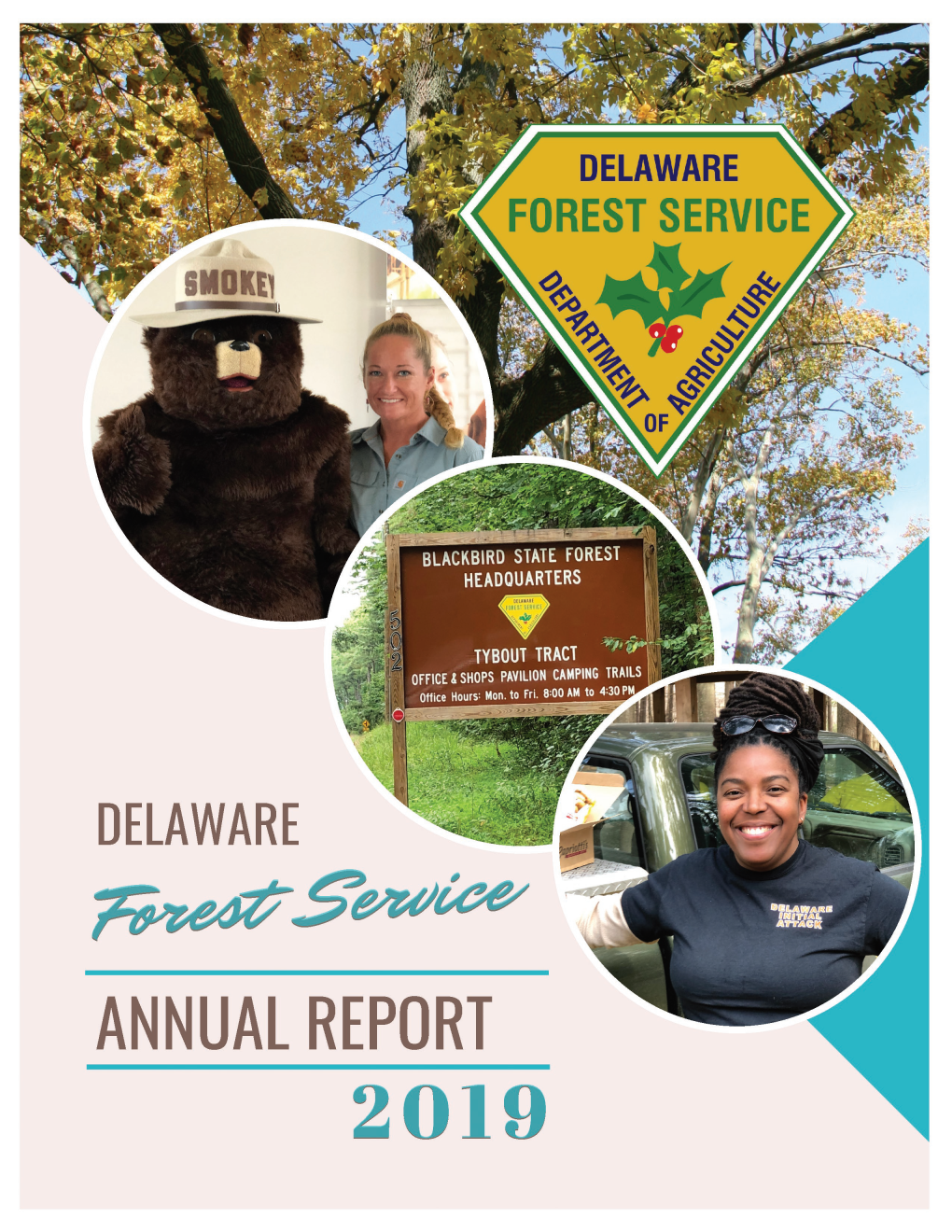 Dfs Fy19 Annualreport.Pdf