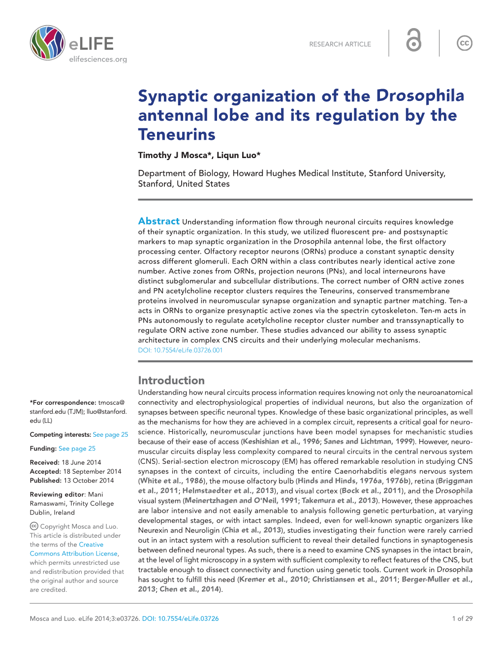 Synaptic Organization of the Drosophila Antennal Lobe and Its Regulation by the Teneurins Timothy J Mosca*, Liqun Luo*