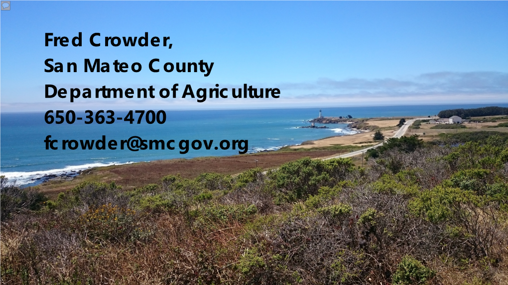 Fertile Capeweed Arctotheca Calendula Eradication in Bean