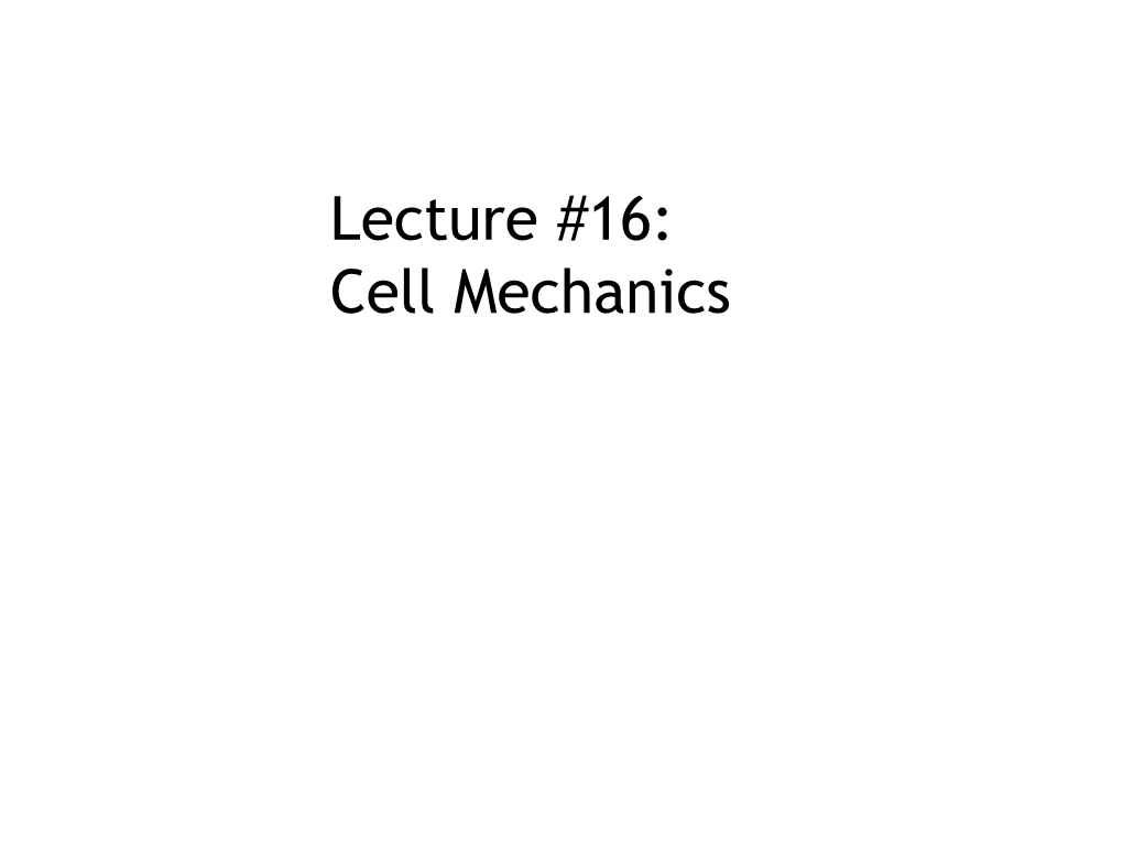 Lecture #16: Cell Mechanics Mechanical Stretching