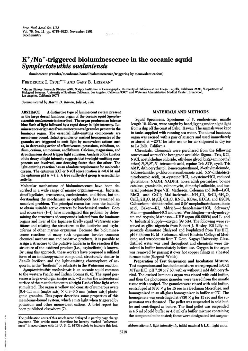 Symplectoteuthis Oualaniensis (Luminescent Granules/Membrane-Bound Bioluminescence/Triggering by Monovalent Cations) FREDERICK I