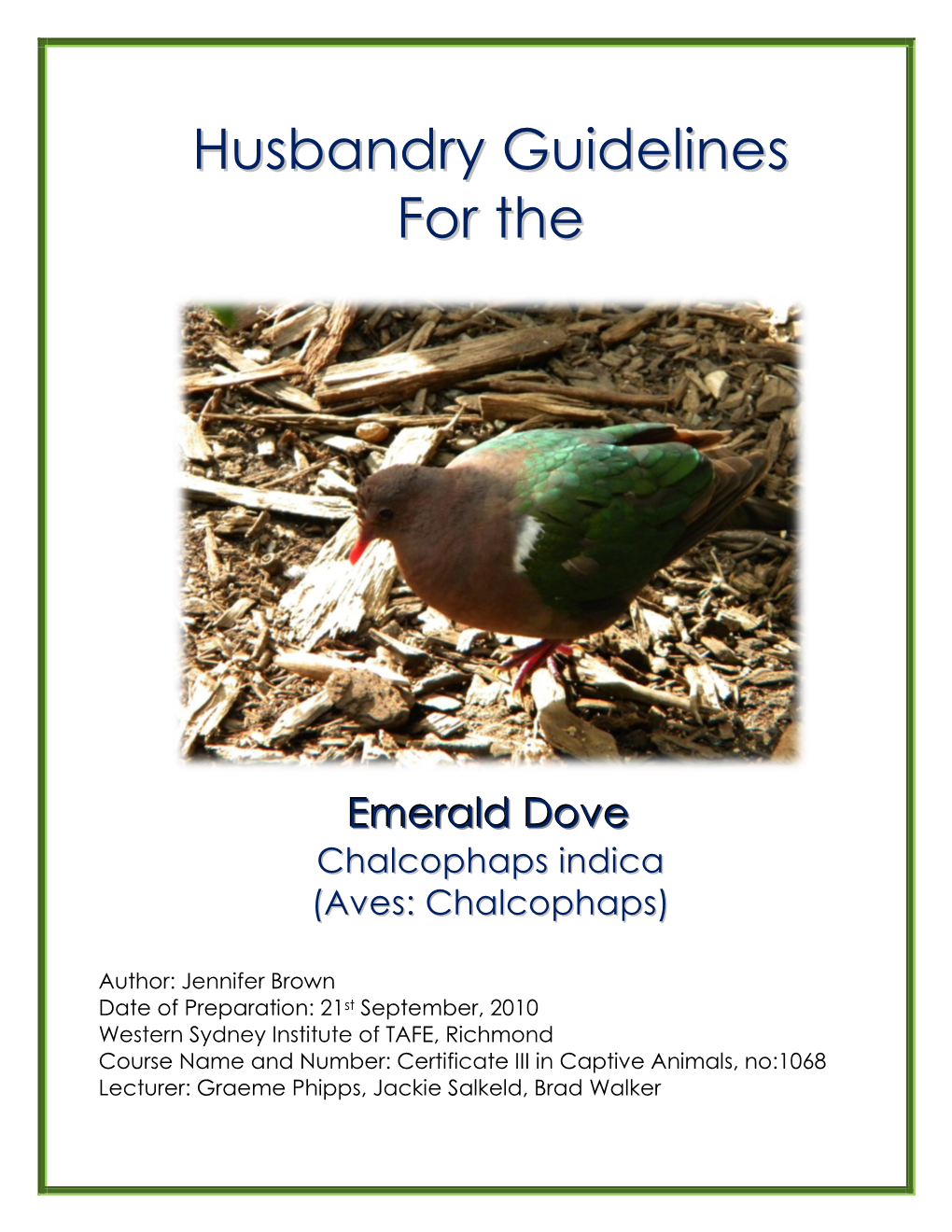 Emerald Dove Chalcophaps Indica ● Husbandry Manual