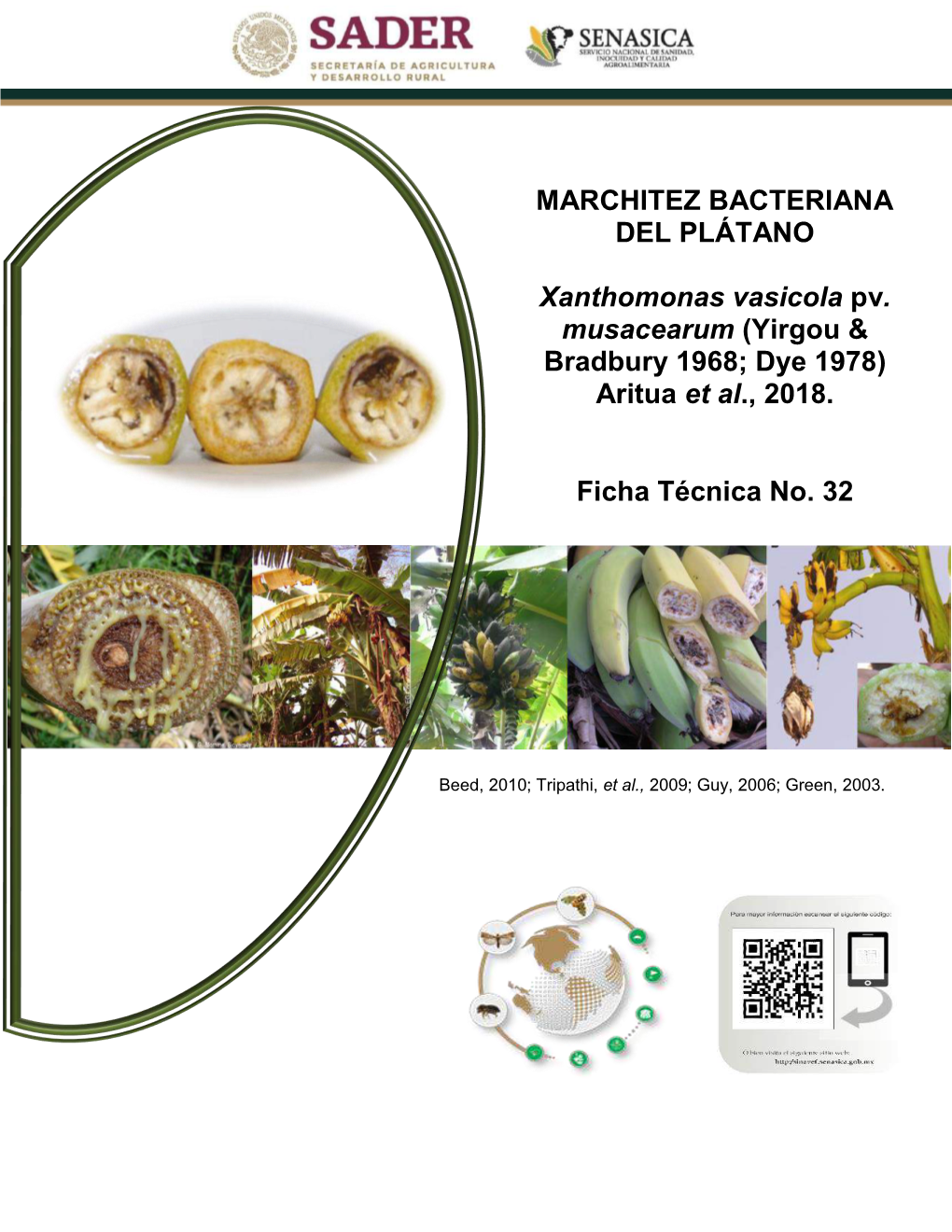 MARCHITEZ BACTERIANA DEL PLÁTANO Xanthomonas Vasicola