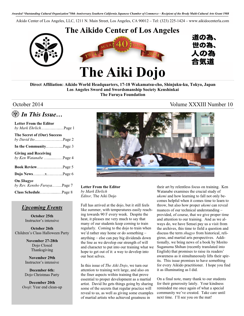 The Aiki Dojo