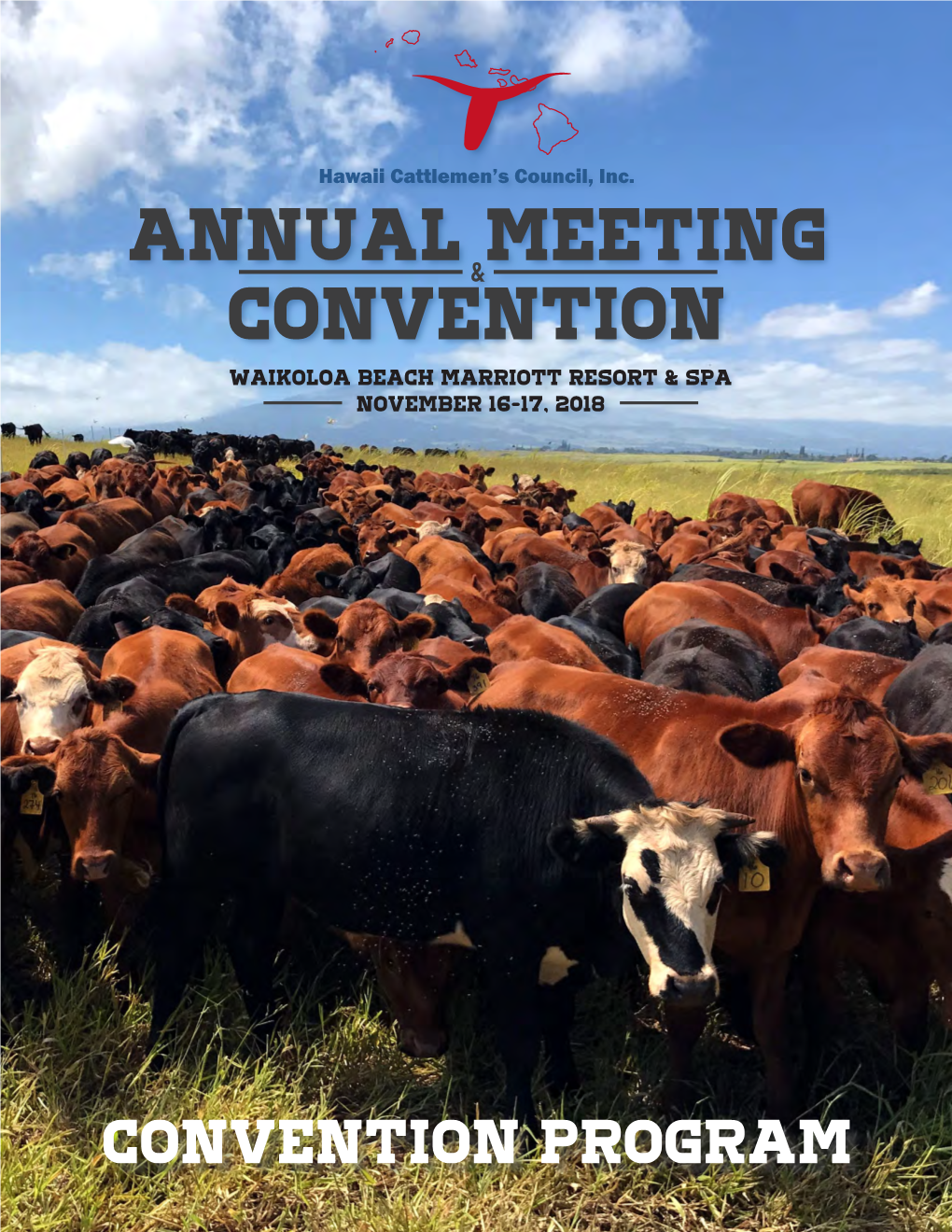 Convention Program