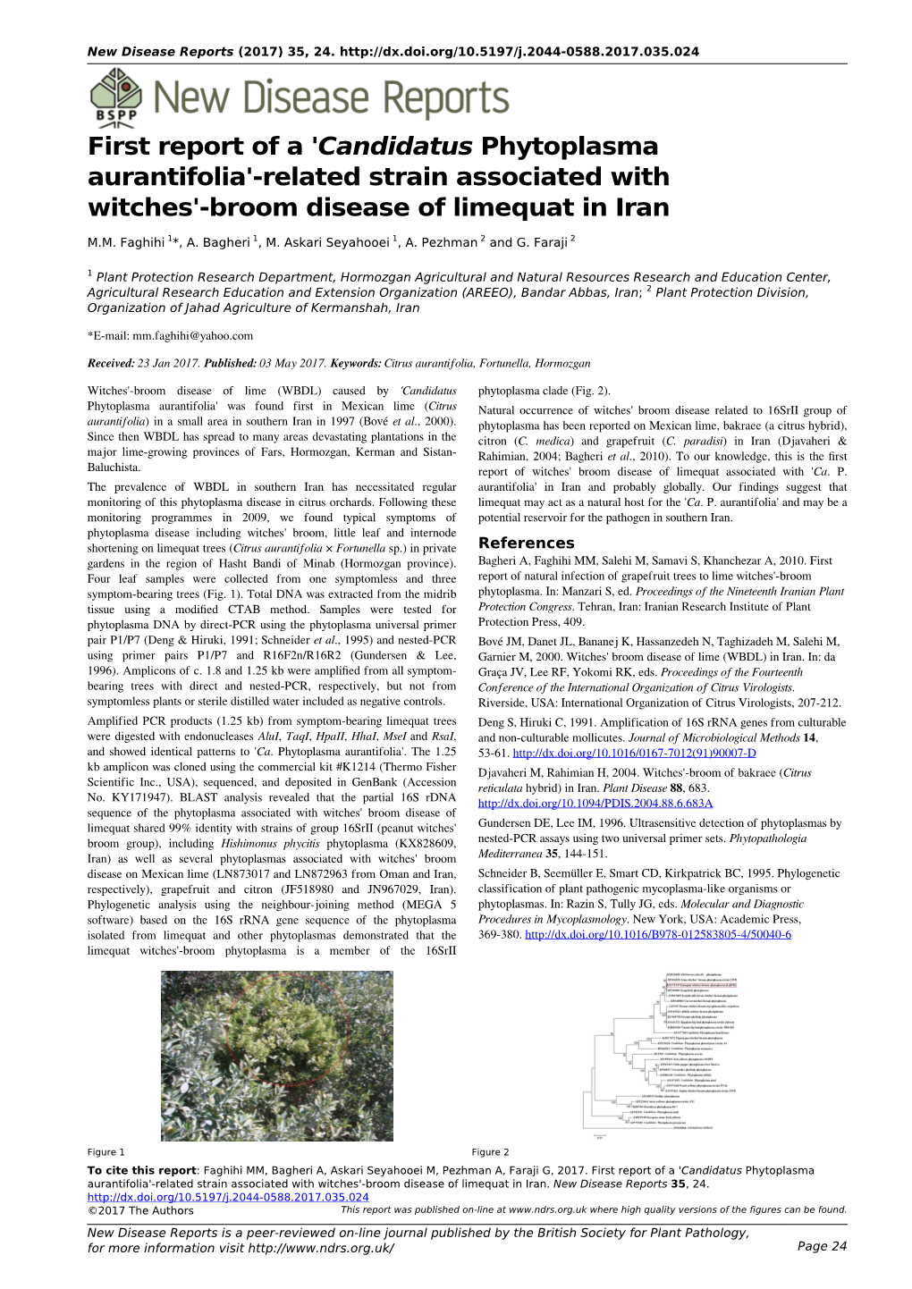 Candidatus Phytoplasma Aurantifolia'-Related Strain Associated with Witches'-Broom Disease of Limequat in Iran