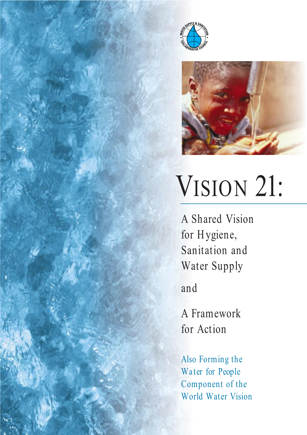 VISION 21: a Shared Vision for Hygiene, Sanitation and Water Supply And