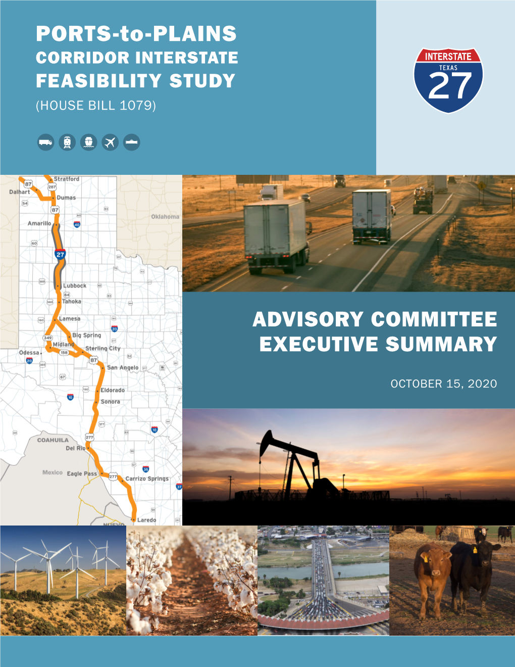 Advisory Committee Executive Summary