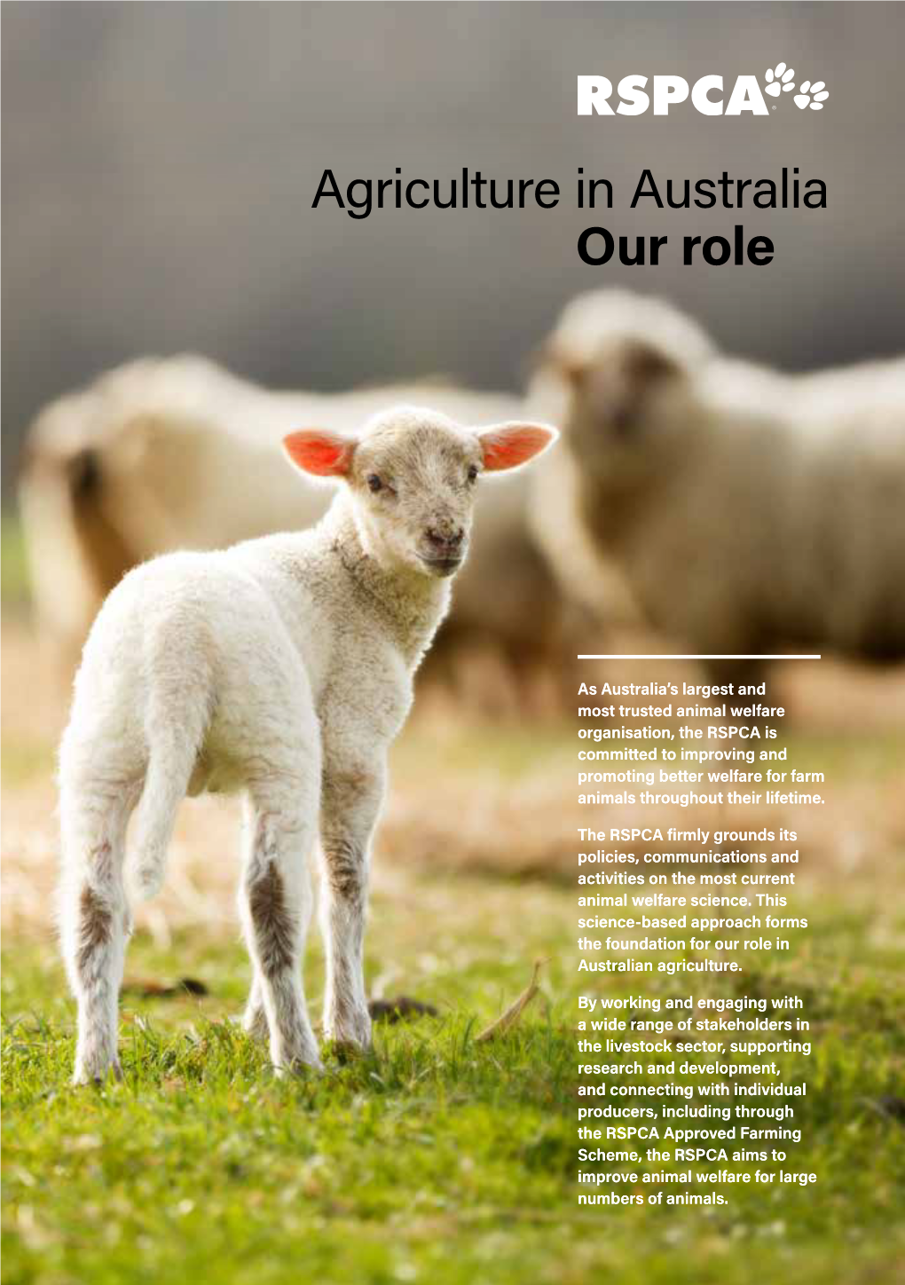 Our Role Agriculture in Australia