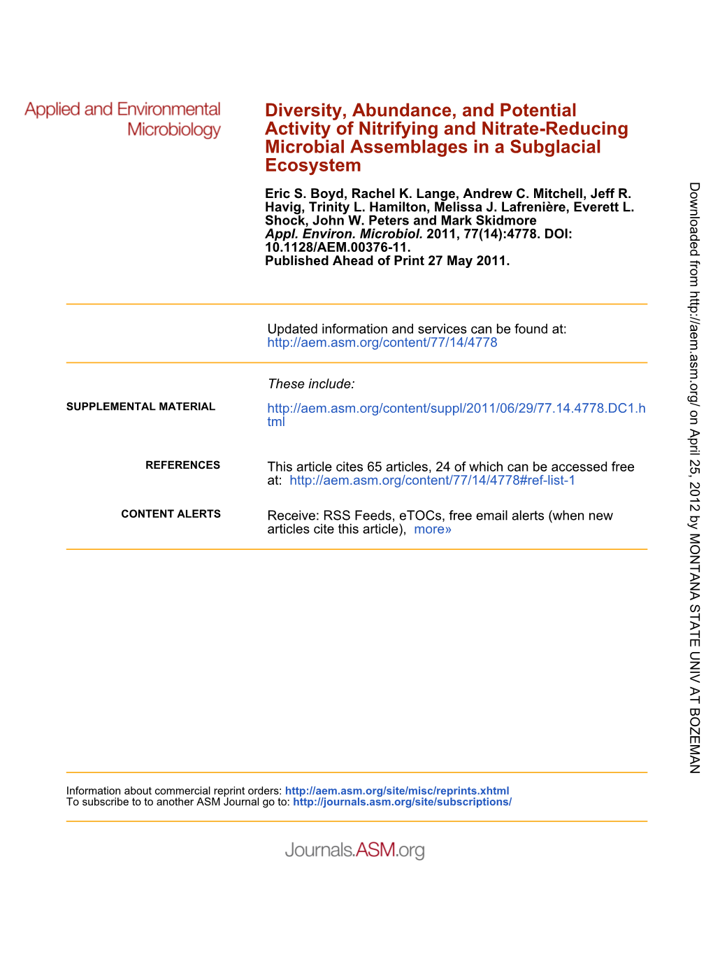 Diversity, Abundance, and Potential Activity of Nitrifying and Nitrate-Reducing Microbial Assemblages in a Subglacial Ecosystem