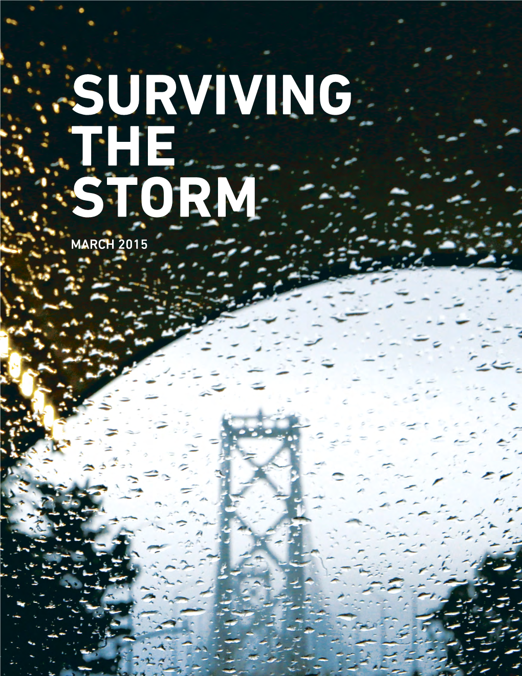 Surviving the Storm March 2015