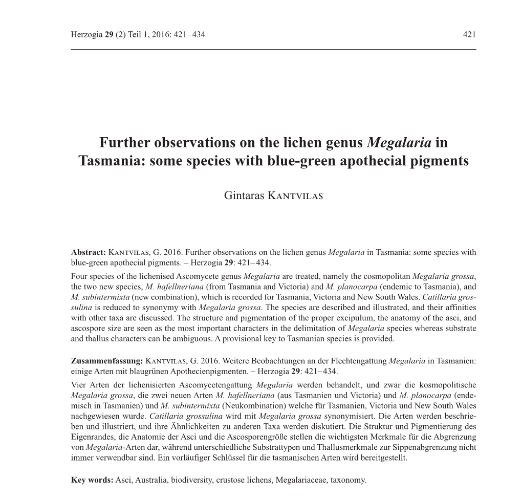 Further Observations on the Lichen Genus Megalaria in Tasmania: Some Species with Blue-Green Apothecial Pigments