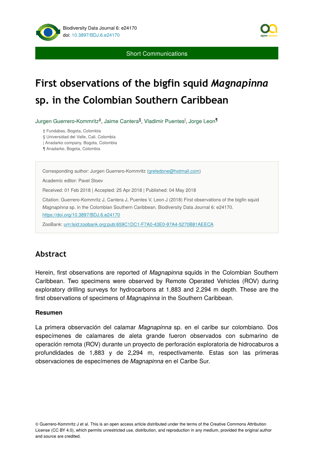 First Observations of the Bigfin Squid Magnapinna Sp. in the Colombian Southern Caribbean