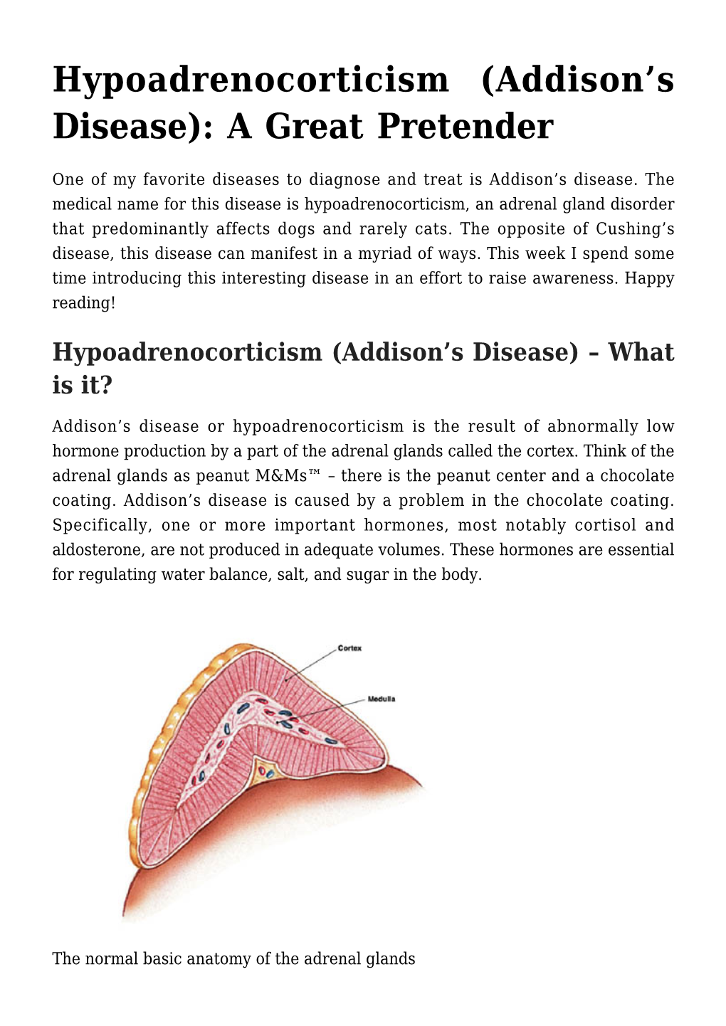 Hypoadrenocorticism (Addison's Disease)