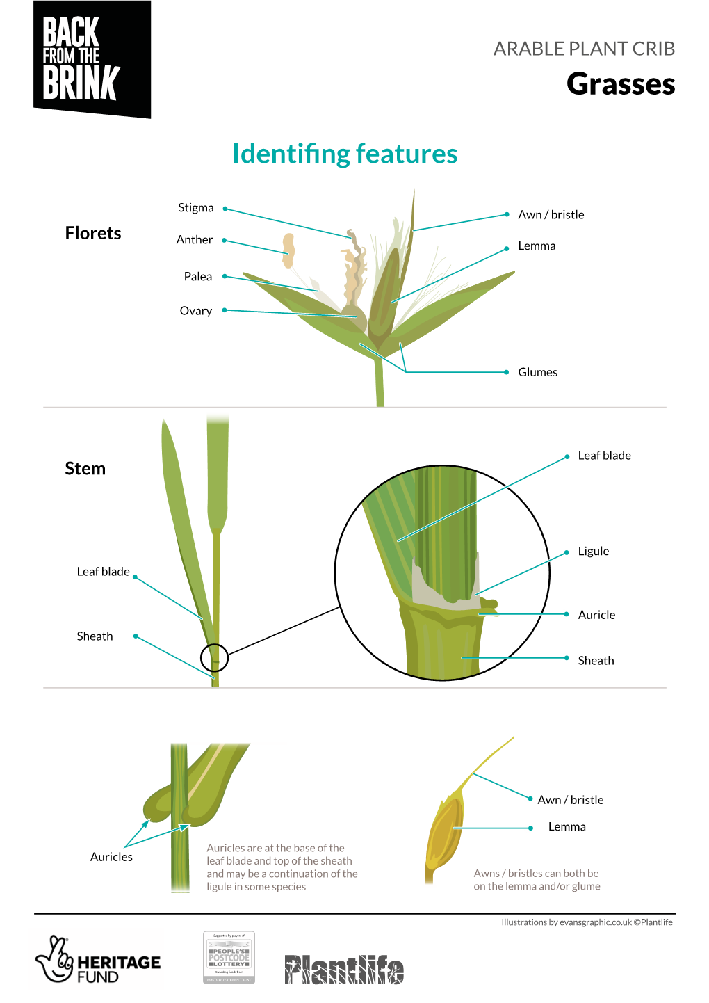 Grasses-Arable-Crib-25.09.20.Pdf