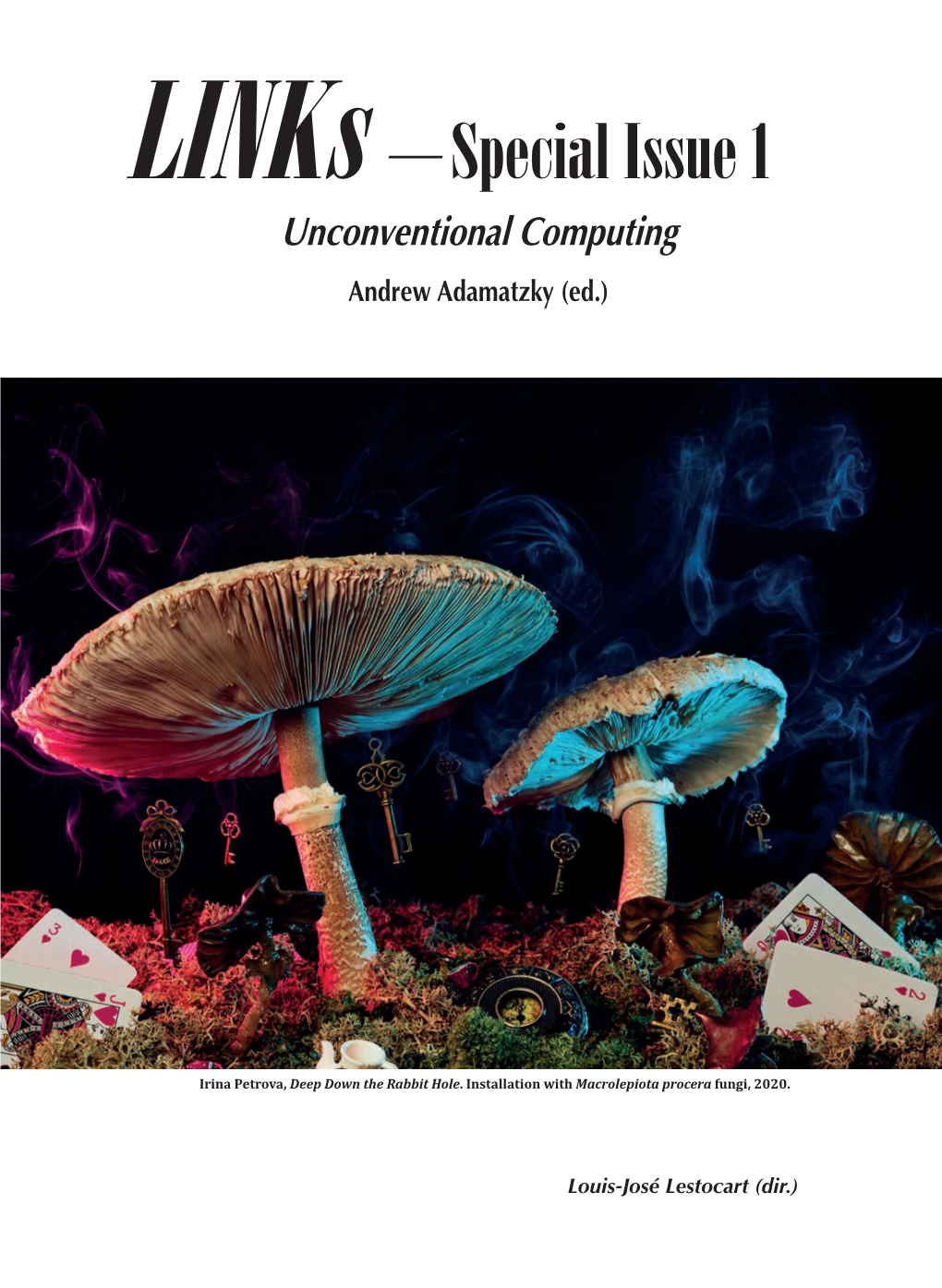 Links – Special Issue 1 Unconventional Computing Andrew Adamatzky (Ed.)