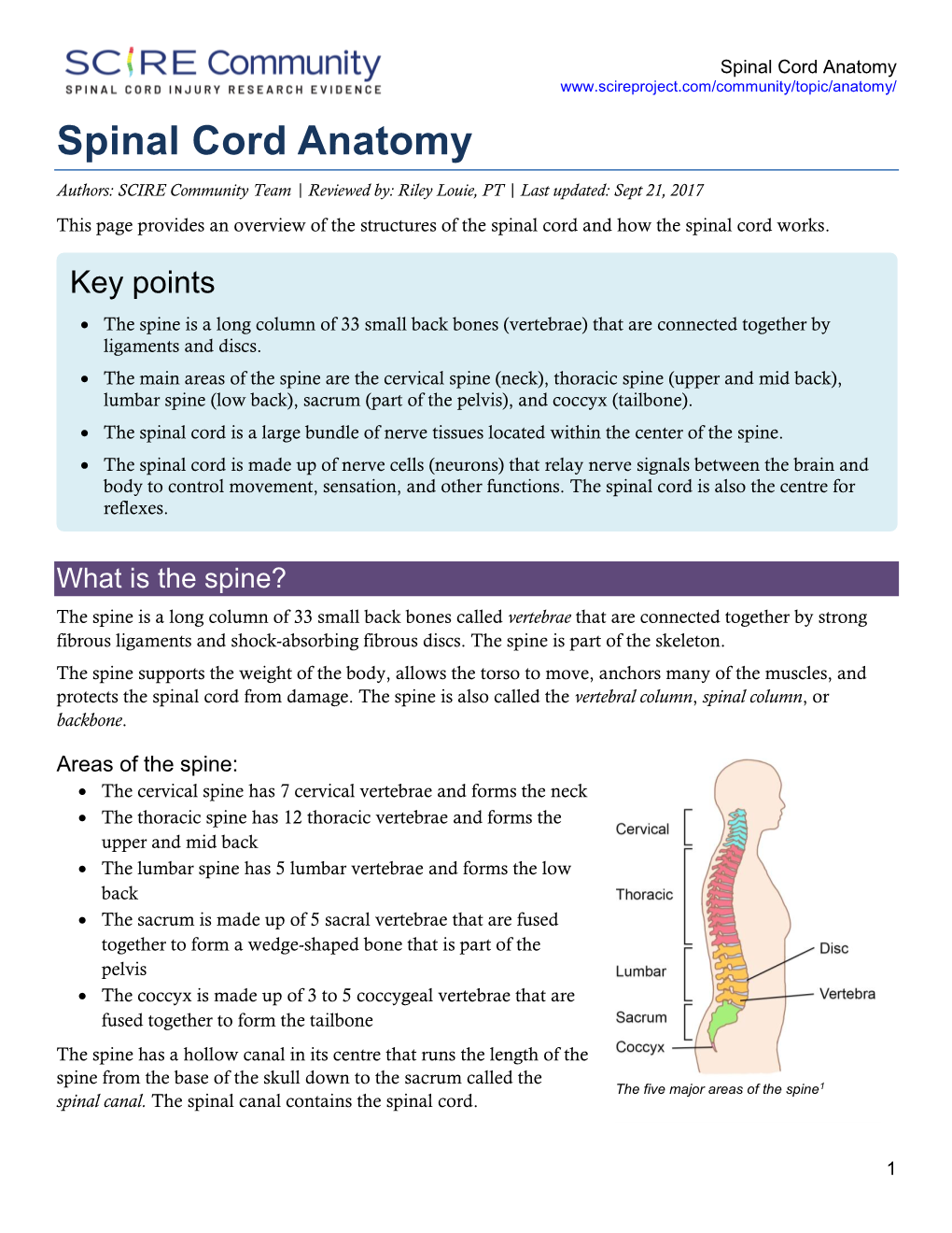 Spinal Cord Anatomy