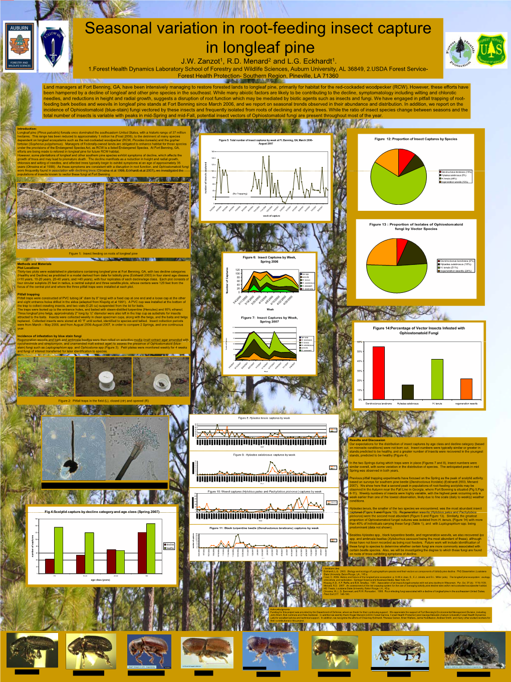 A New Ophiostoma Species in the O. Pluriannulatum Complex From