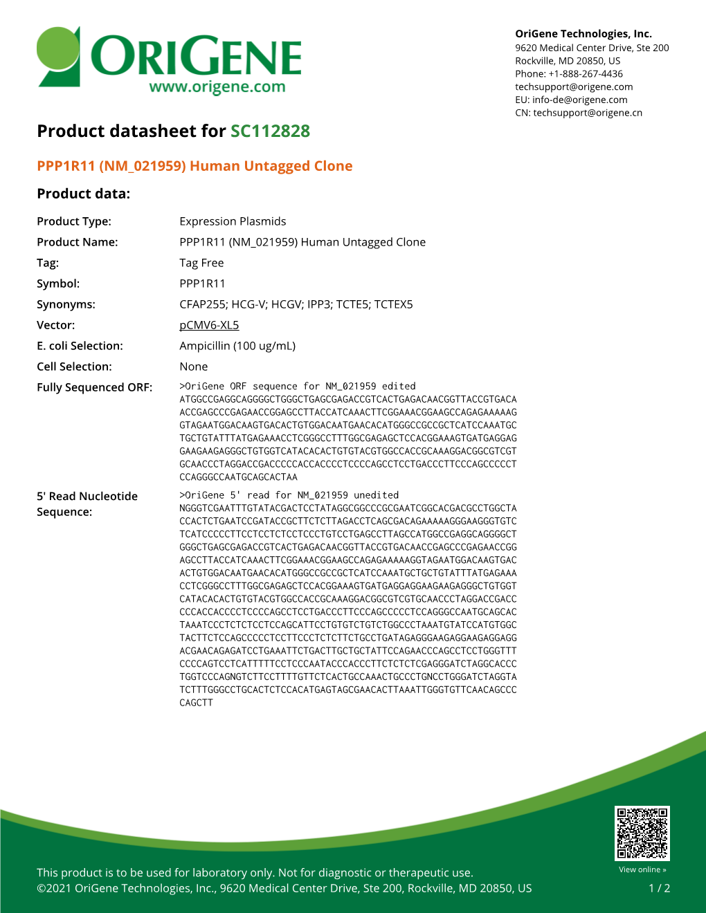 PPP1R11 (NM 021959) Human Untagged Clone Product Data