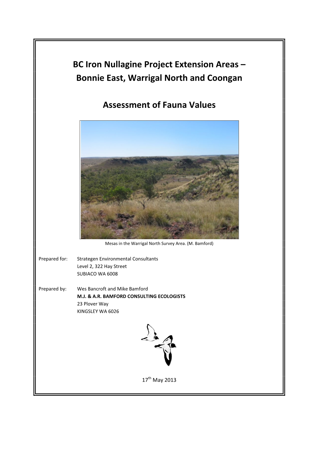 BC Iron Nullagine Project Extension Areas – Bonnie East, Warrigal North and Coongan